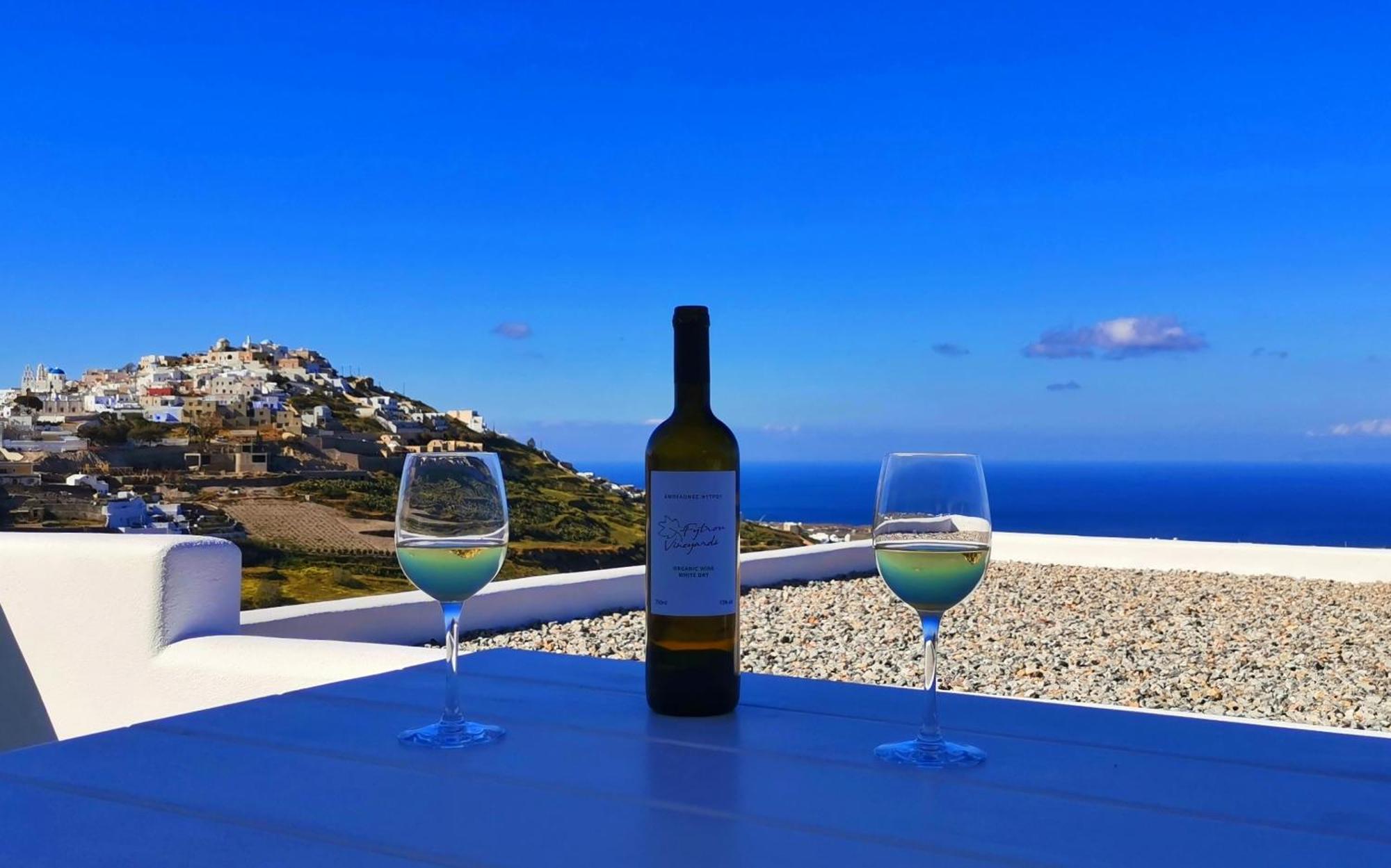 Martynou View Apartment Pýrgos Стая снимка